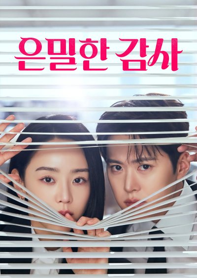 Тайный аудит